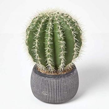 Golden Barrel Artificial Cactus in Textured Stone Grey Pot, 38 cm