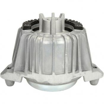 Motor Suporte REINHOCH RH11-3035
