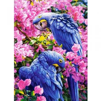 Kit Peinture Diamant 5D Perroquet Strass Décor 20x30