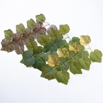 100PC Decorative Silk Maple Leaves for DIY Projects