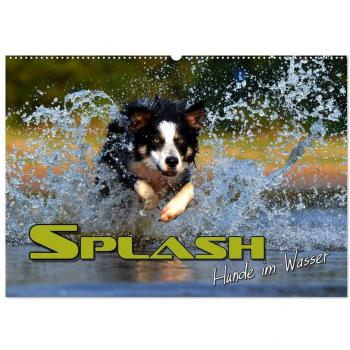 SPLASH