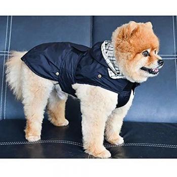 Capuchon imperméable Doogy Tonga Noir