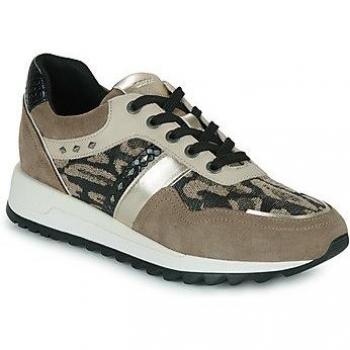 Baskets basses Geox D TABELYA A Beige 38