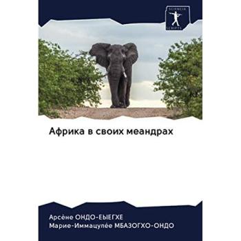 Ondo-Eyeghe, Arsène: Afrika w swoih meandrah