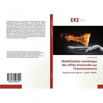 Modélisation numérique des effets d'incendie sur l'environnement