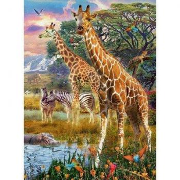 50 Piece Puzzle of Giraffes in Africa by Ravensburger