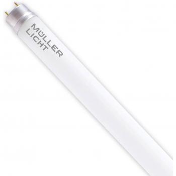 Ampoule tube LED CEE‑G13 blanc lumière du jour 15,6 W 2500 lm