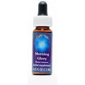 Pipette 7,3 ml Morning Glory Supplement – Flower Essence FES Quintessentials