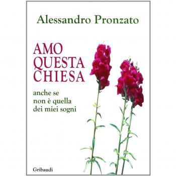 Amo questa Chiesa. Anche se non è quella dei miei sogni