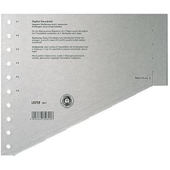 Trennblätter Leitz 1651 A4 200 g/m² gris paquet de 100 pièces