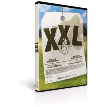 DVD en gros format