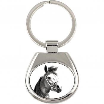 Arabisch Paard