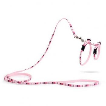 Nylon kittentuigje Joy