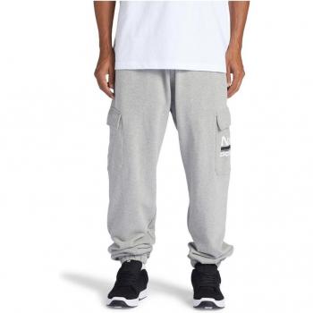 Pantalon sport DC Shoes gris – L