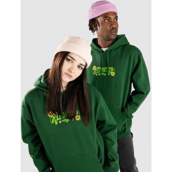 Capucha Verde Estilo Bohemio Sudadera