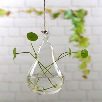 Macetas transparentes para decoración del hogar