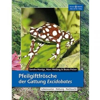 Pfeilgiftfrösche der Gattung Excidobates: Lebensweise, Haltung, Nachzucht