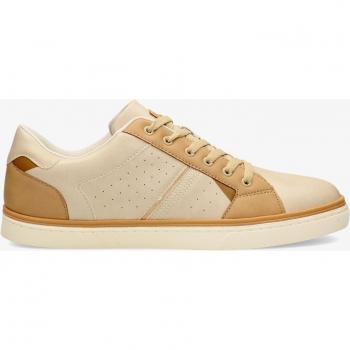 Silver Nano Uomo Scarpe Marroni 43