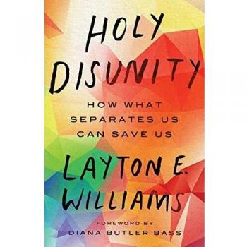 Holy Disunity: How What Separates Us Can Save Us