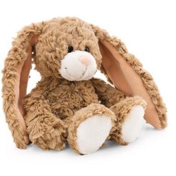Bunny Coccolone Verde – 20 cm