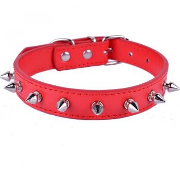 Collier résistant aux griffes en PU