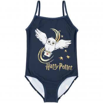 Kids Harry Potter 1 Piece Swimwear in Blue