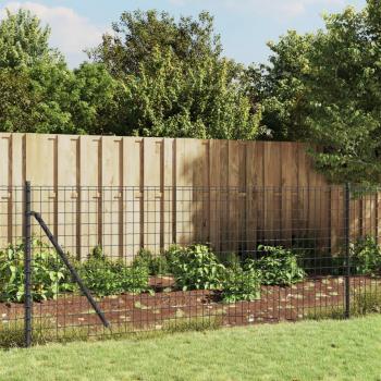 Vidaxl Maschendrahtzaun Anthrazit 0,8x25 m