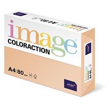 Coloraction Carta A4 80g Savana 500 fogli
