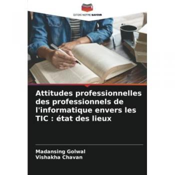 Attitudes professionnelles des professionnels de l'informatique envers les TIC : état des lieux