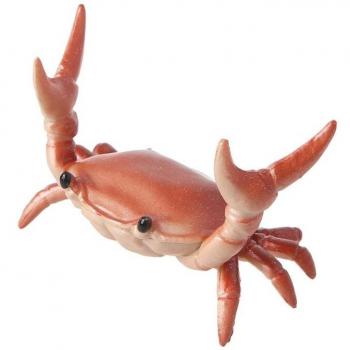 Crab Storage Rack