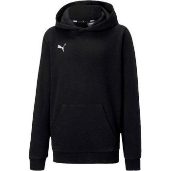 Hoody Puma Teamgoal 23 Casuals