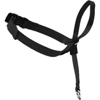 Collier d'entraînement sans douleur