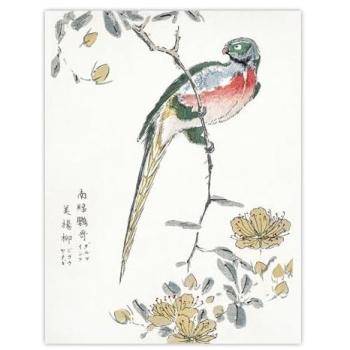 Peach Garden Macaw Wall Art