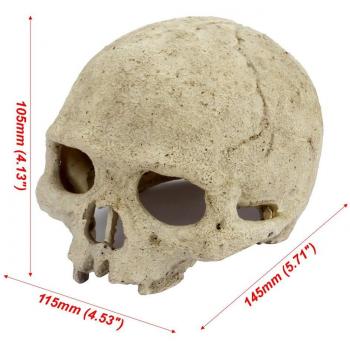 Senzeal Skull Aquarium Decoration