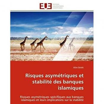 Risques asymétriques et stabilité des banques islamiques: Risques asymétriques spécifiques aux banques islamiques et leurs implications sur la stabilité