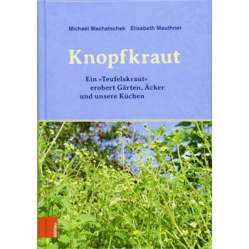 Das Knopfkraut
