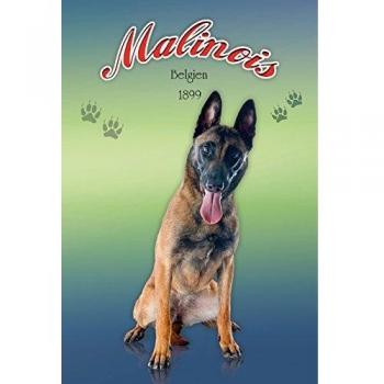 Schatzmix Malinois Belgien 1899 Hund Metallschild 20x30 cm
