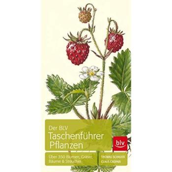 Der BLV Taschenführer Pflanzen: Über 350 Blumen, Gräser, Bäume & Sträucher