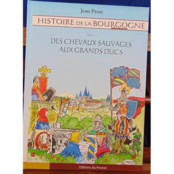 Histoire de la Bourgogne en bandes dessinées t.1