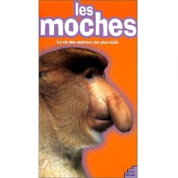 Les Moches/the Ugly: LA Vie Des Animaux Les Plus Laids/the Life of the Ugliest Animals (La Nature Dans)