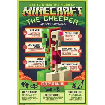 Minecraft Creeper Decor