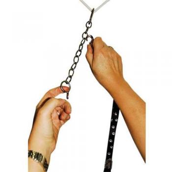Extensión de cadena para collares de mascotas