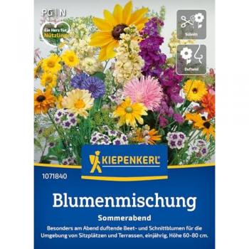 Sommerliche Duftblumenmischung