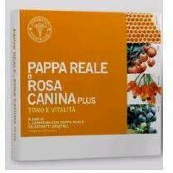 Pappa Reale e Rosa Canina 10ml