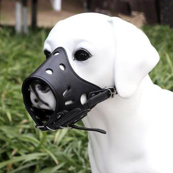Dogs Mouth Cover Mask
