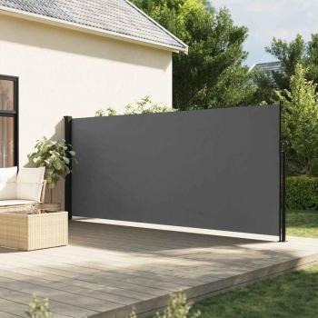 Auvent Latéral Anthracite 180x300 cm
