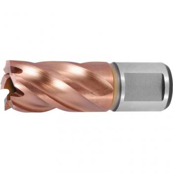 Punta Caro HSS 30 mm TiAlN – HOLEX