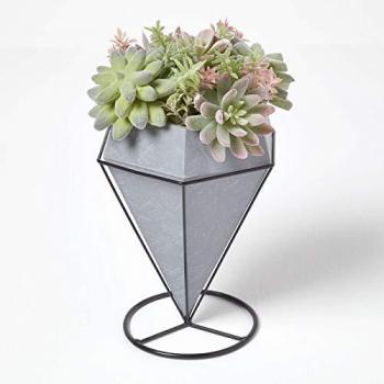 Decorative Cactus and Succulent in Geometric Grey Planter
