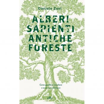 Alberi sapienti antiche foreste. Come guardare, ascoltare e avere...