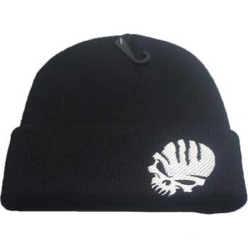 Cool Skull Winter Beanie for Men